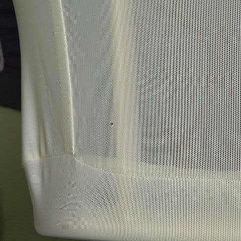 トコちゃんベルトの青葉 ネオモック