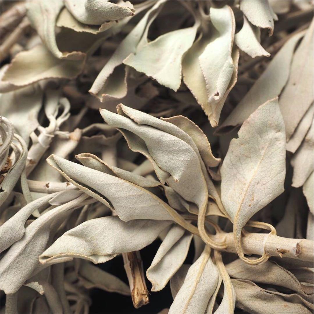 ★限定特選品★無農薬カリフォルニア産【箱配送５０g 高品質ホワイトセージ】❤️