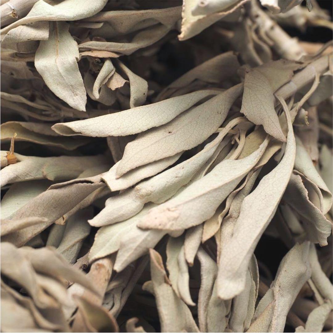 ★限定特選品★無農薬カリフォルニア産【箱配送５０g 高品質ホワイトセージ】❤️