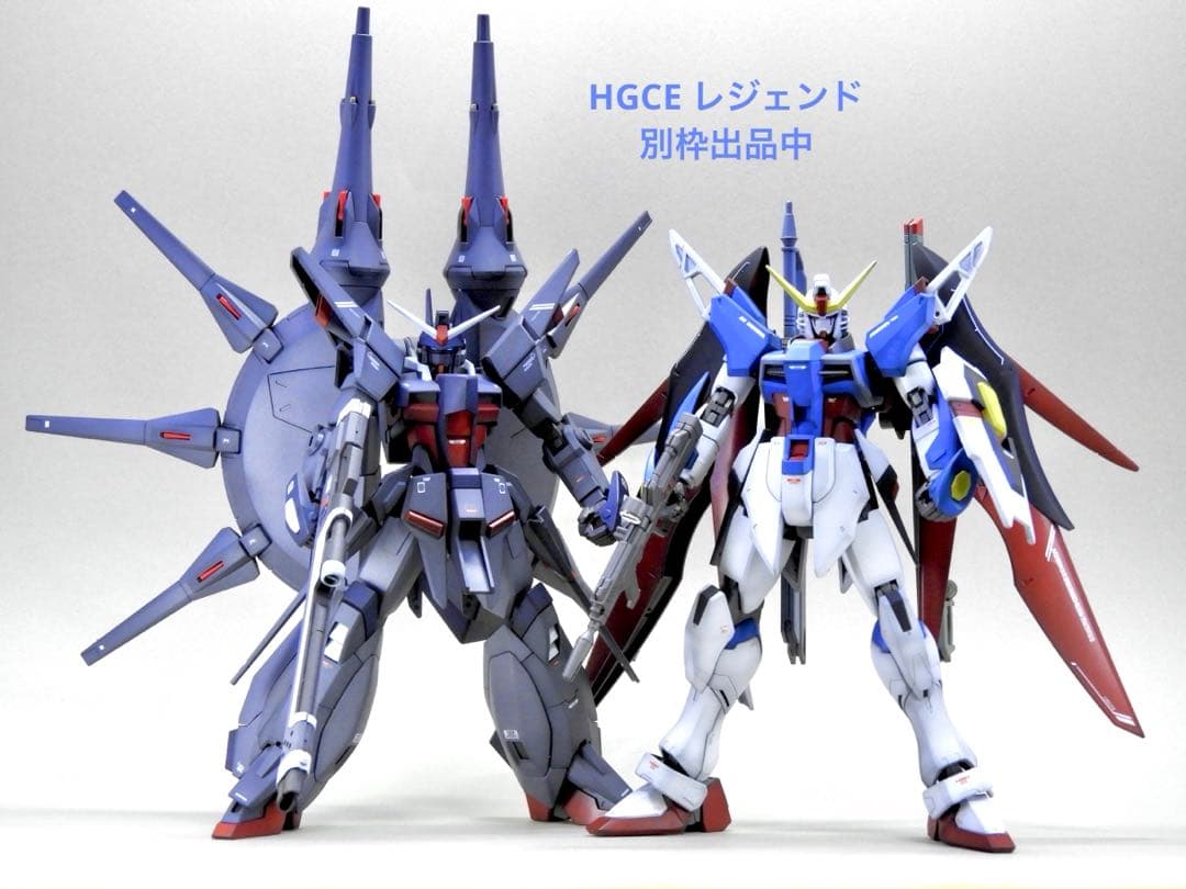 HG デスティニーガンダム 全塗装 / ガンプラ 完成品