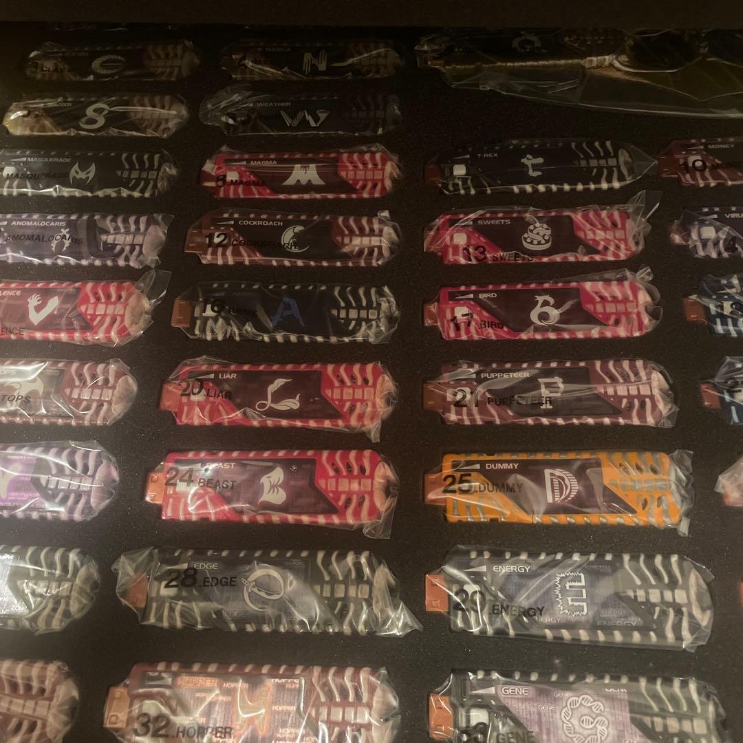 仮面ライダーW　DXサウンドカプセルガイアメモリEX コンプリートセレクション