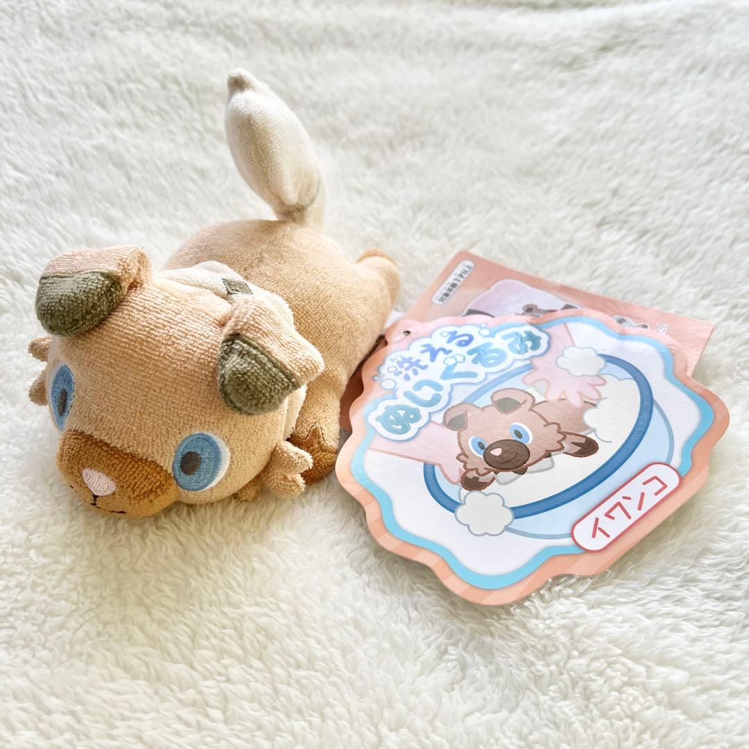 ポケモン 洗えるぬいぐるみ イワンコ