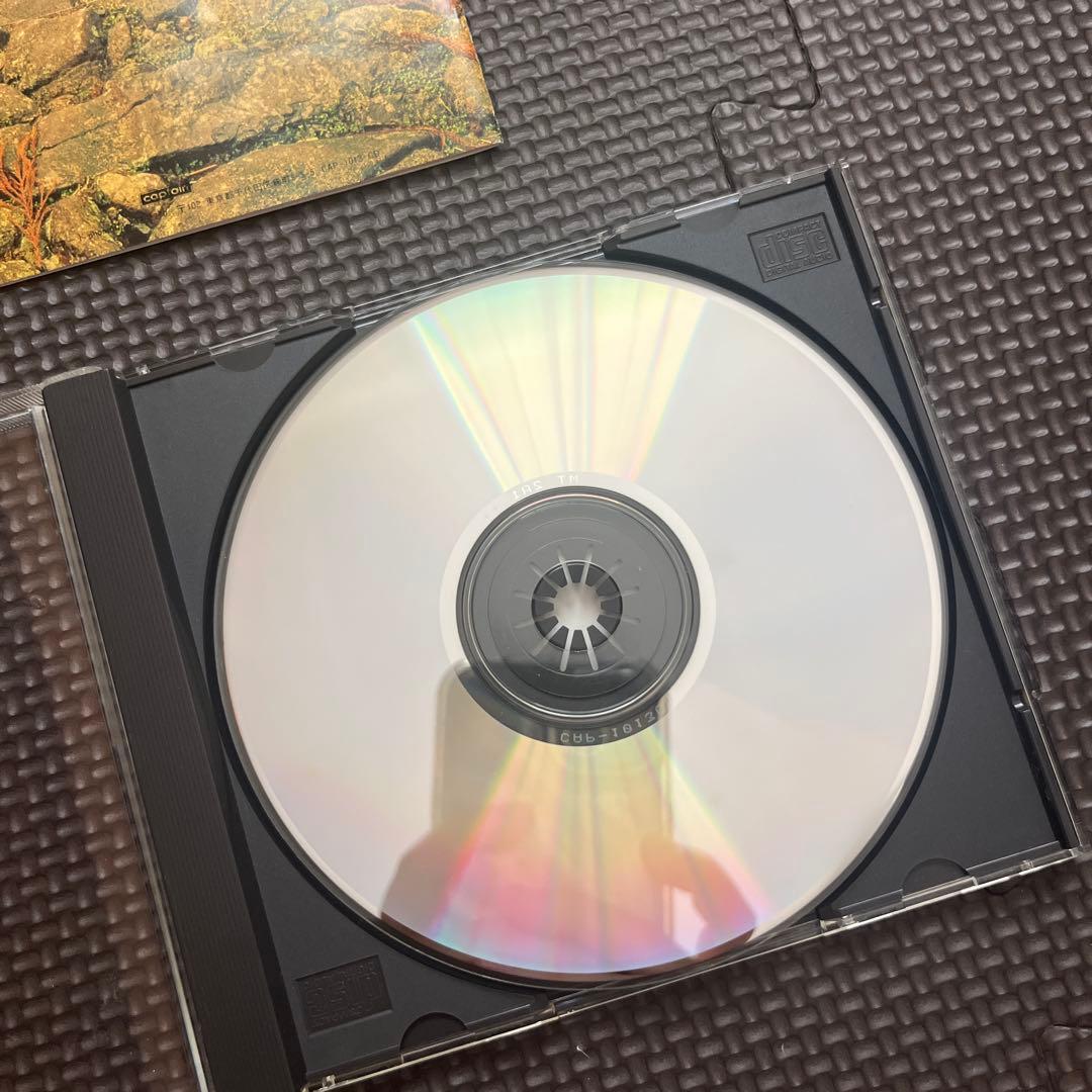 [*❥様 P-MODEL SCUBA CD