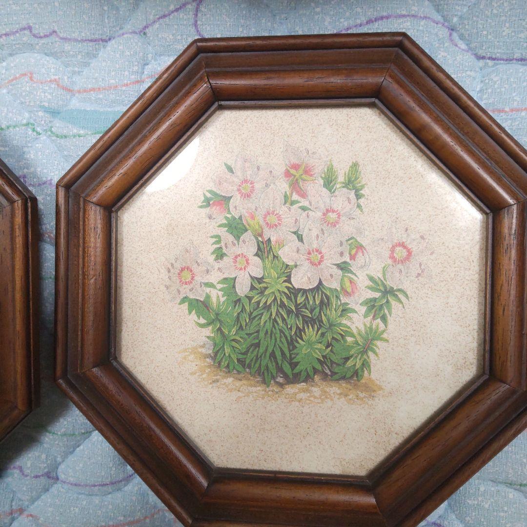値下げ　ボタニカルアート 　六角フレーム 7点セット！ イタリア製