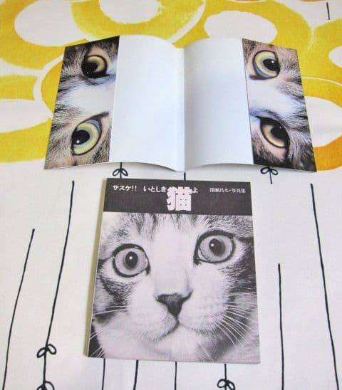 深瀬昌久写真集 サスケ! いとしき猫よ MASAHISA FUKASE
