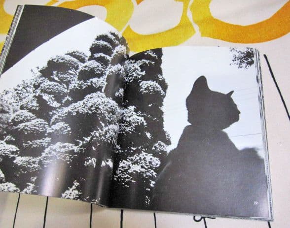 深瀬昌久写真集 サスケ! いとしき猫よ MASAHISA FUKASE