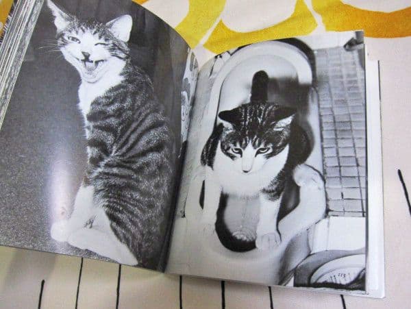 深瀬昌久写真集 サスケ! いとしき猫よ MASAHISA FUKASE