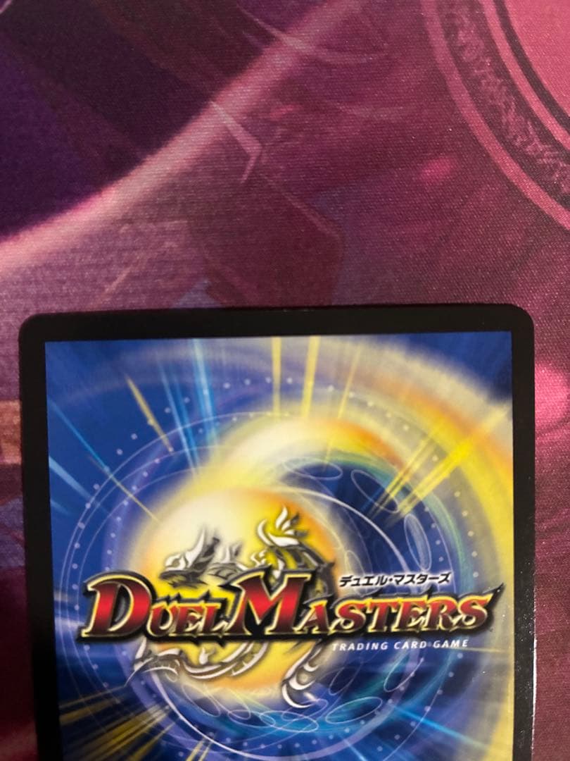 シャコガイル b 微白かけあり