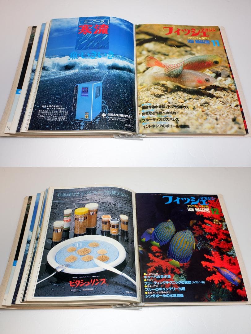 イ*3様 月刊フィッシュマガジン 1979年6月号～1981年2月号 昭和54～