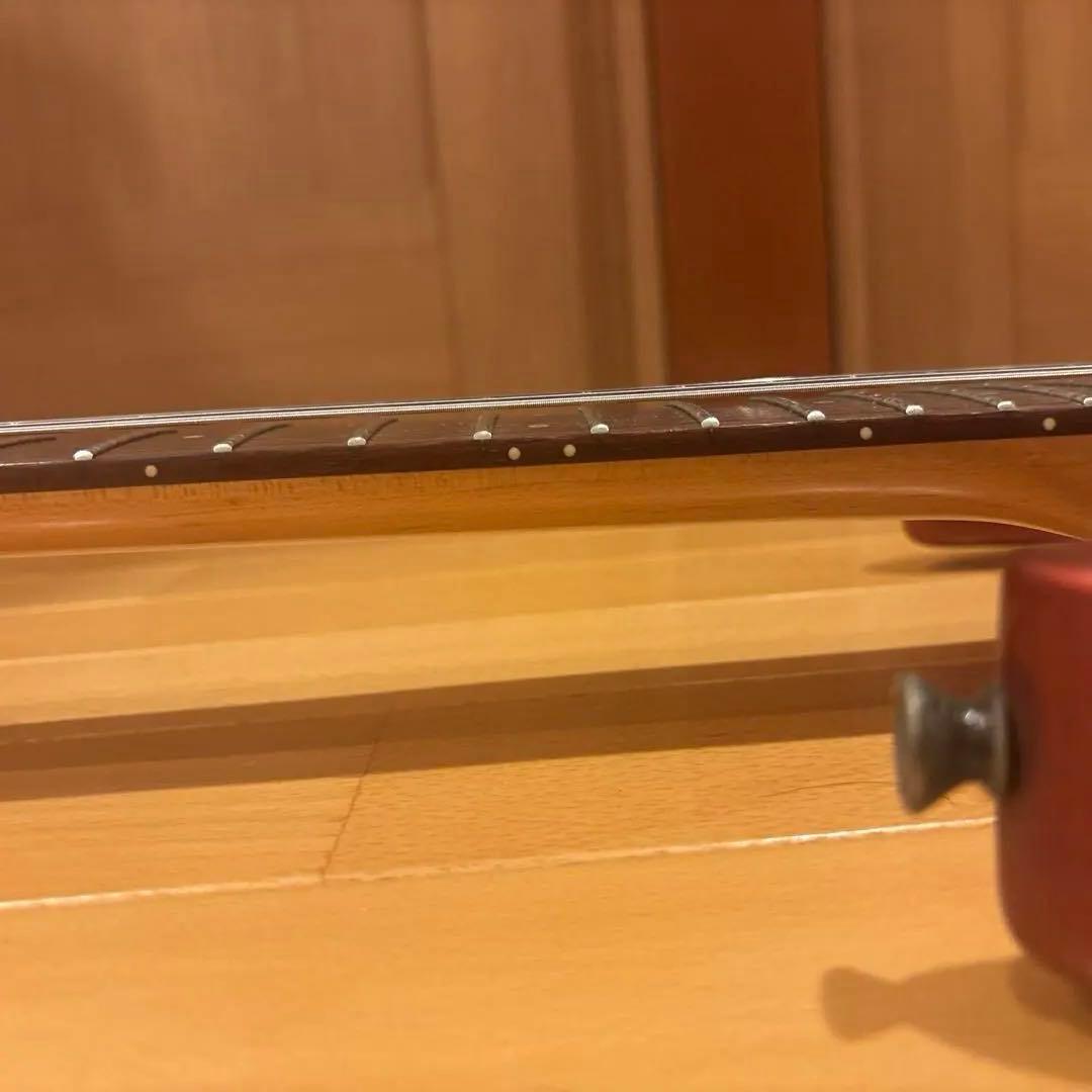 フロイトローズタイプ FERNANDES アクティブ回路 アーム付 新品弦張替済