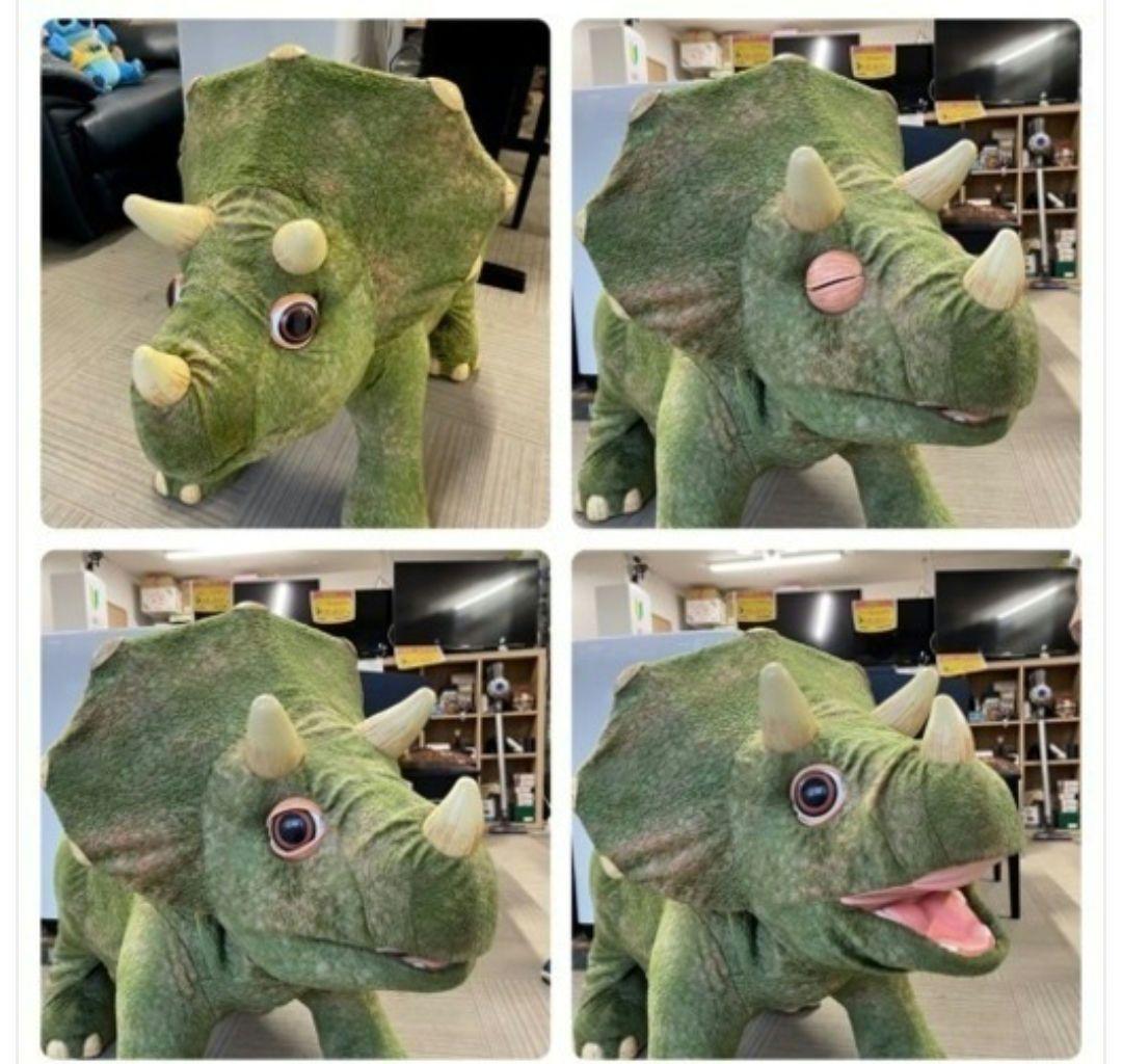 【宮城送料無料】子供が乗れる動くトリケラトプス 　恐竜玩具 ￥108,000