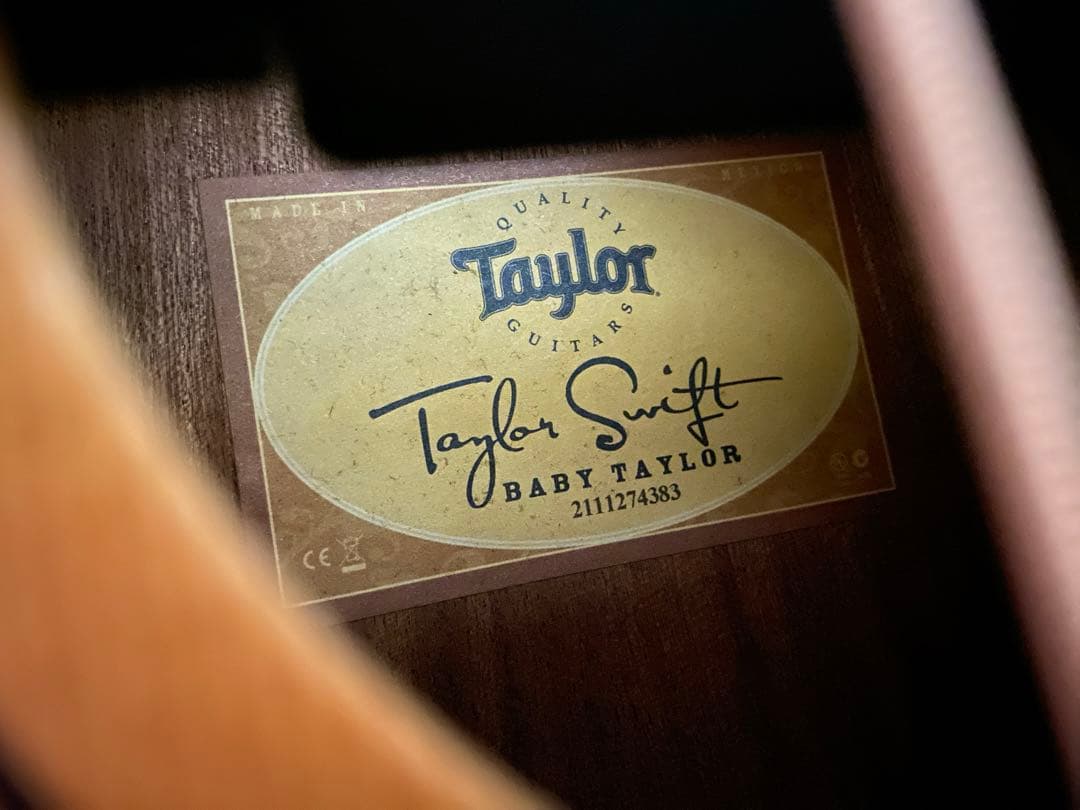 トラベルギター　Taylor ギター ケース、ストラップ付き