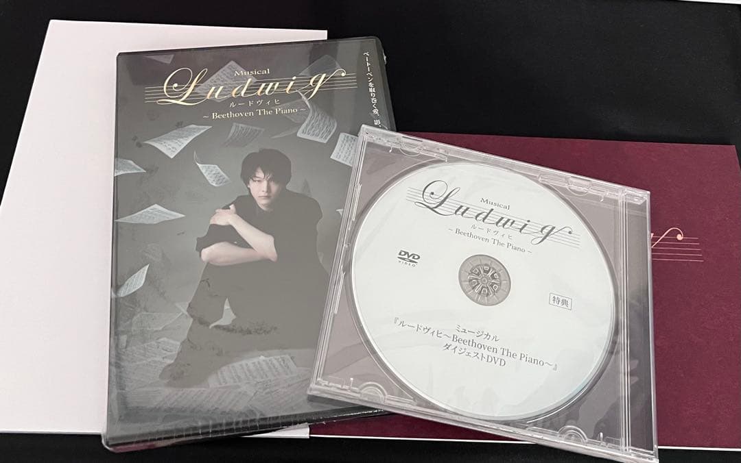 ルードヴィヒ豪華版 DVD 中村倫也