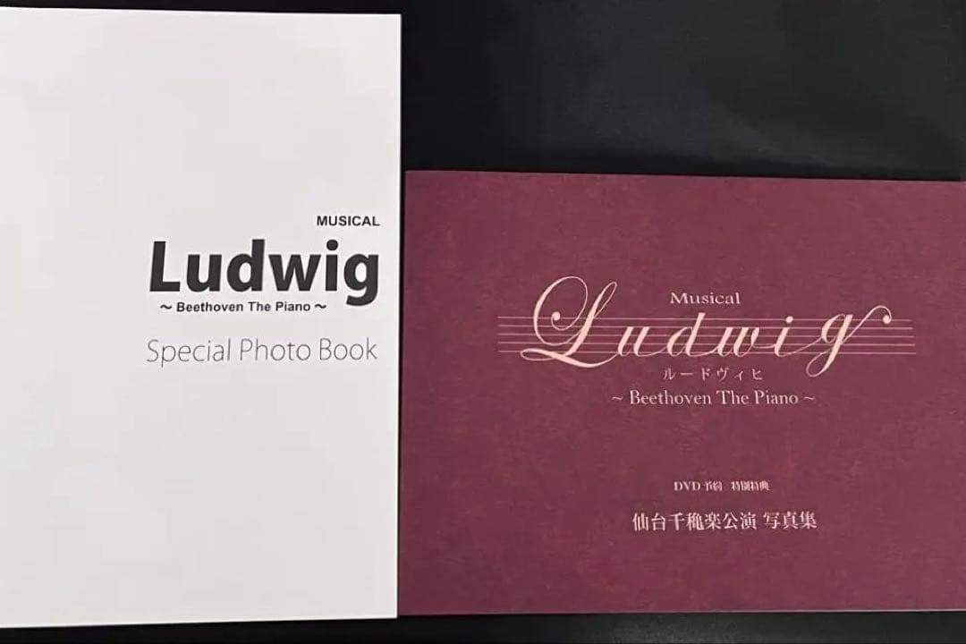 ルードヴィヒ豪華版 DVD 中村倫也