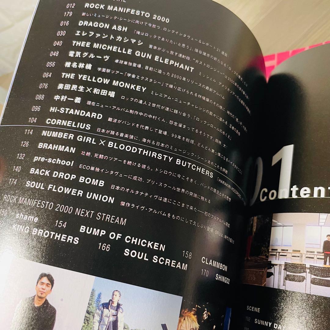 ✨超希少✨　絶版　ミッシェル・ガン・エレファント　関連本　11冊