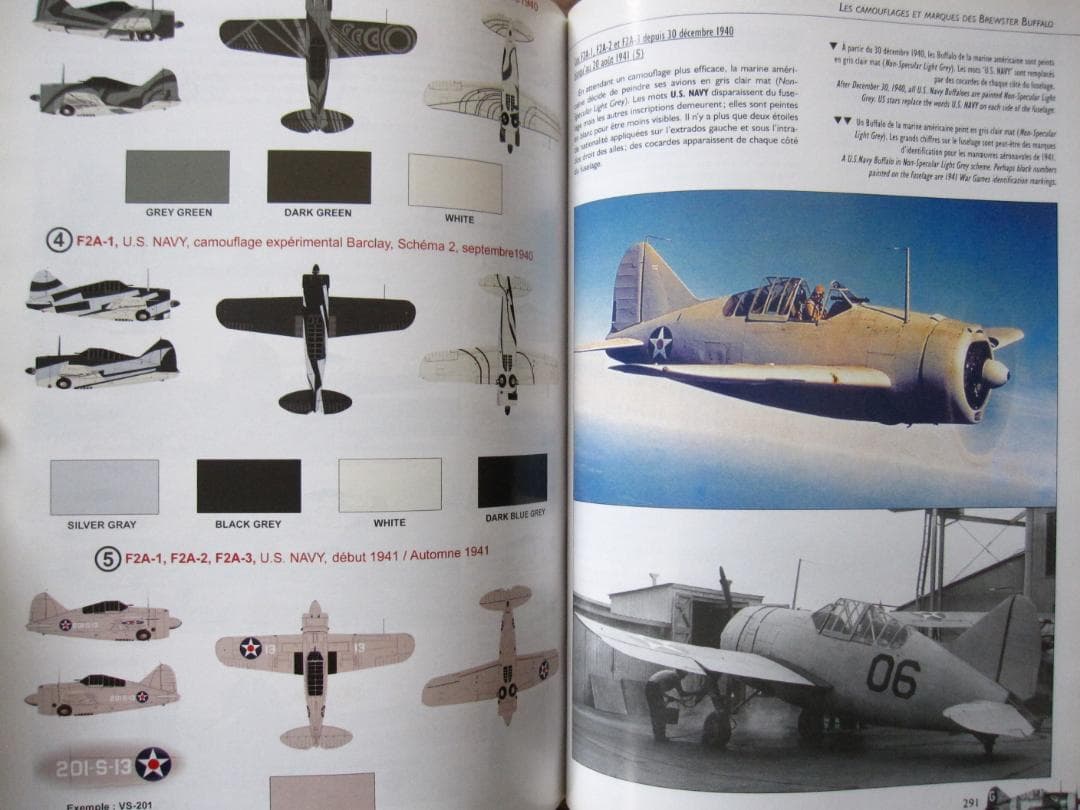 洋書 BREWSTER BUFFALO / Jean-Louis Couston