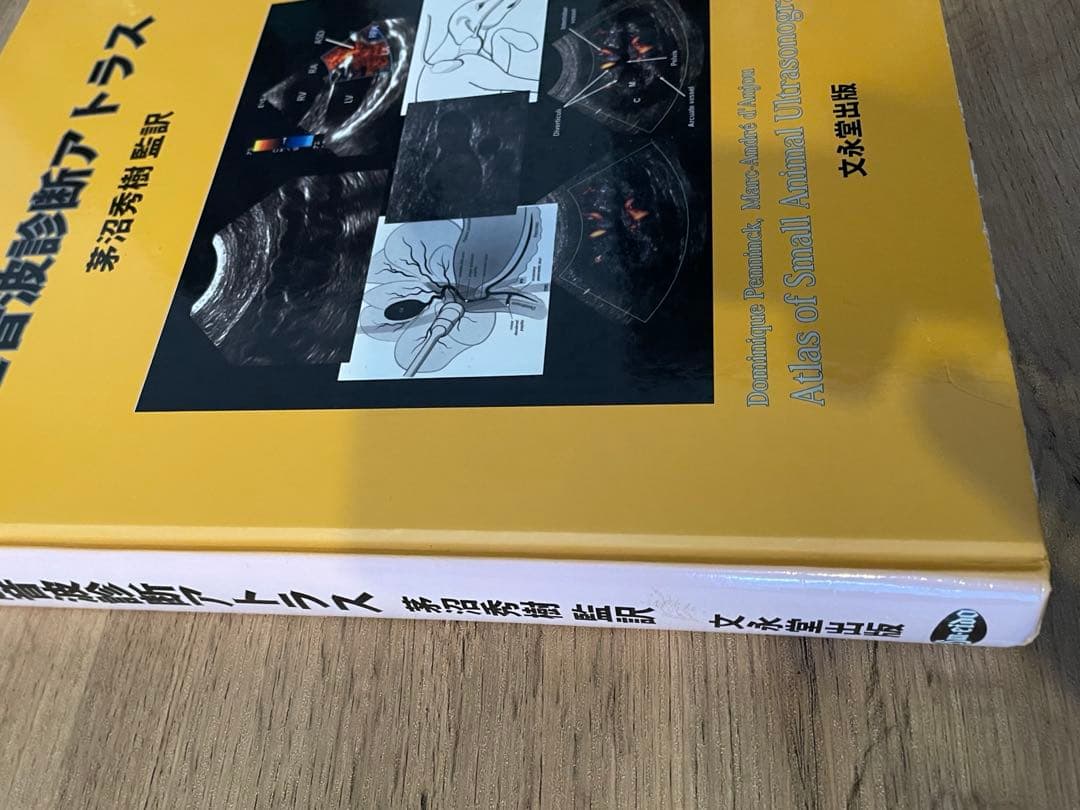 小動物の超音波診断アトラス