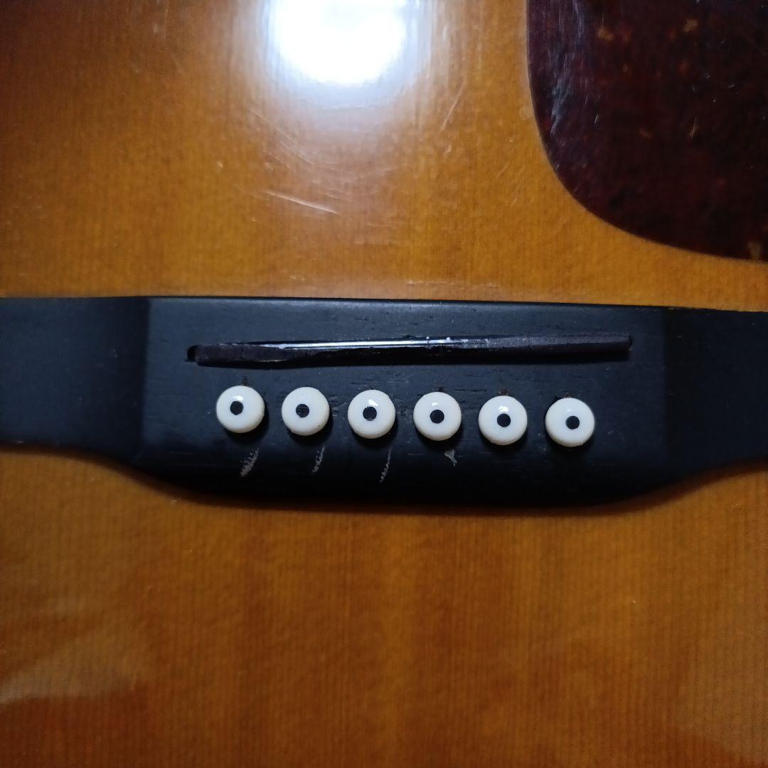 Morris モーリス アコースティックギター MF-256TS