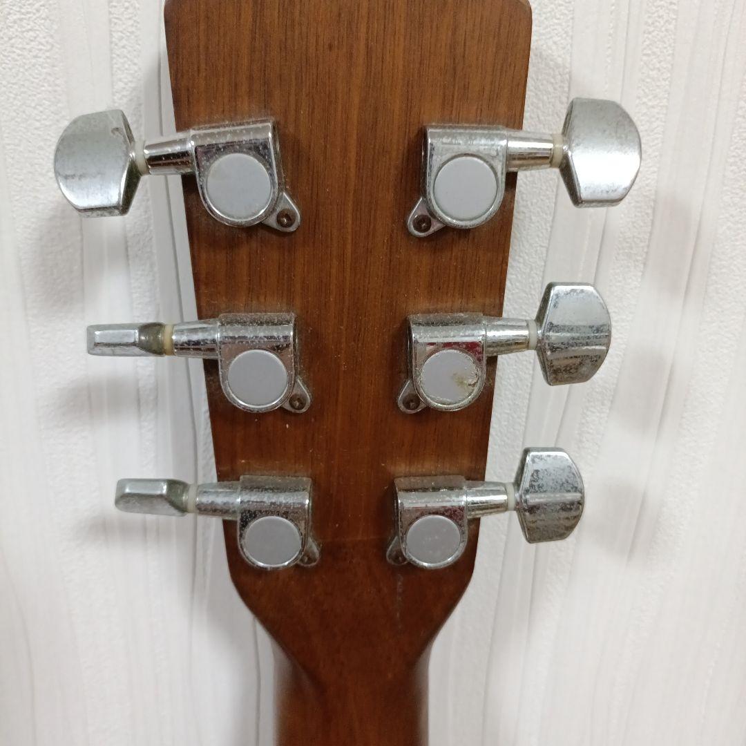 Morris モーリス アコースティックギター MF-256TS