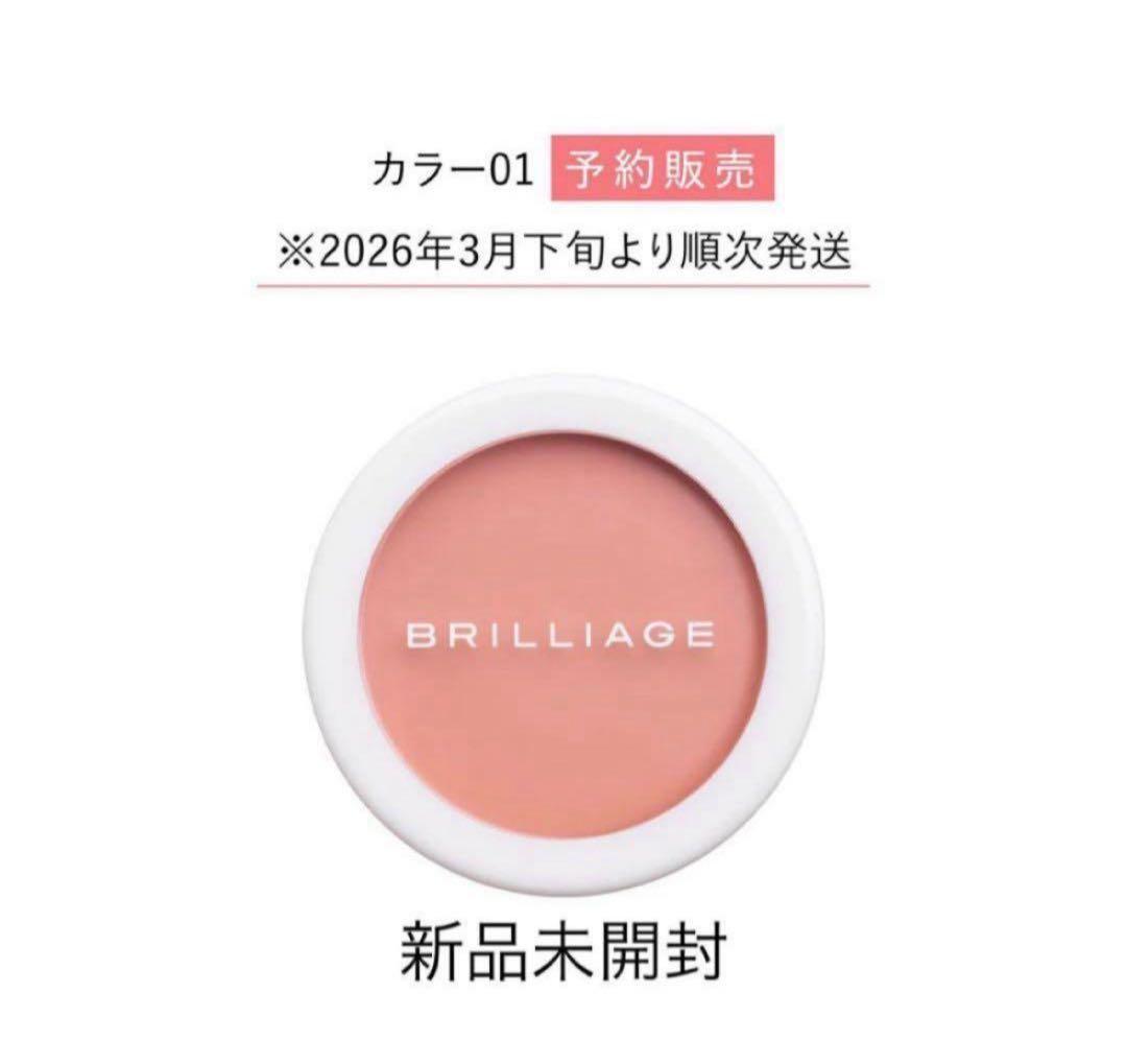 新品未開封／ブリリアージュ カモフラージュコンシーラーチーク01