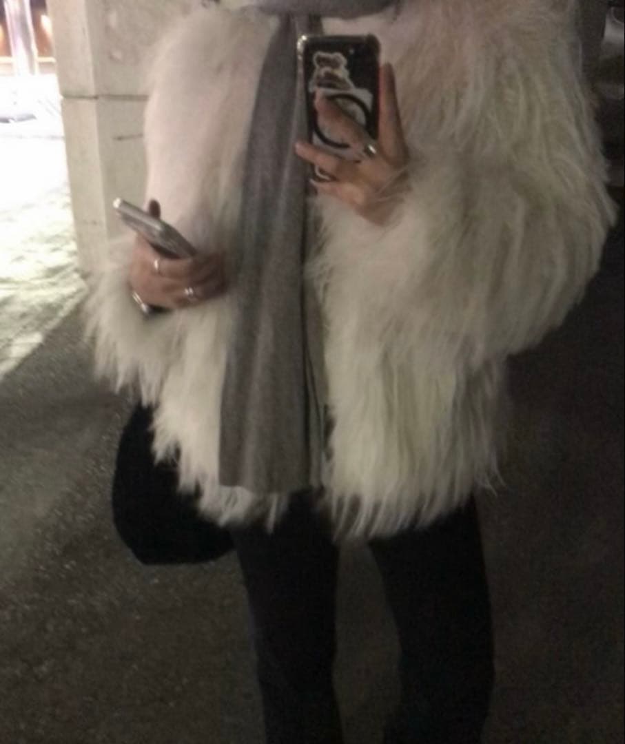 【一月限定販売・公式販売中止】zara シャギー　フェイクファー　ジャケット