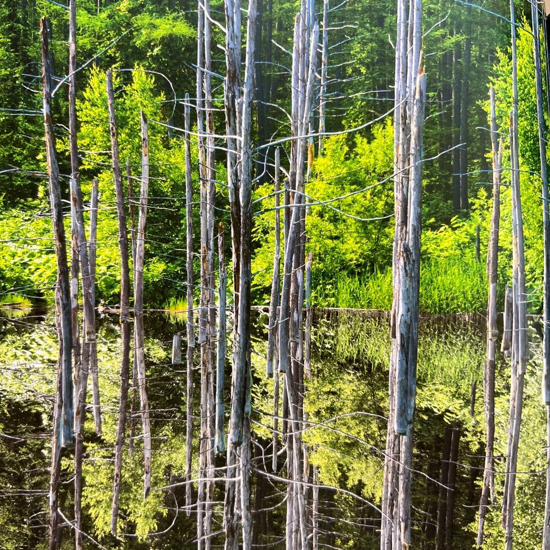 マドリガル　クレープシャツ