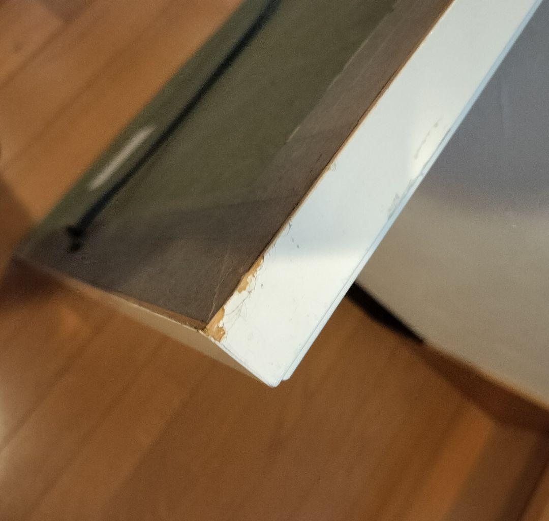 トーマスマックナイト　作品名「フォール」　シルクスクリーン