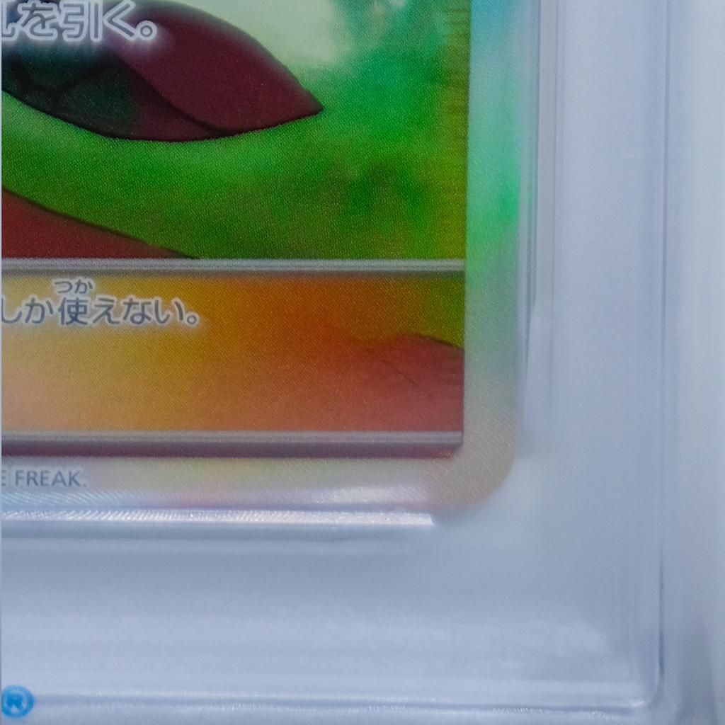 傘 エリカのおもてなし《PSA10》
