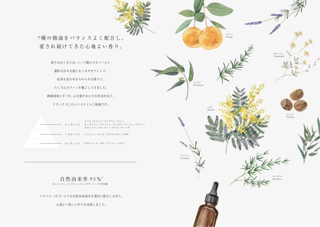 アロマエッセゴールド POLA ポーラシャンプー&コンディショナー各10Lセット