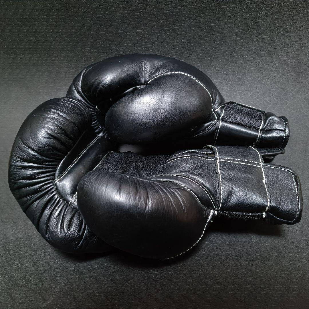 東京堂 インターナショナル 日本拳法グローブ