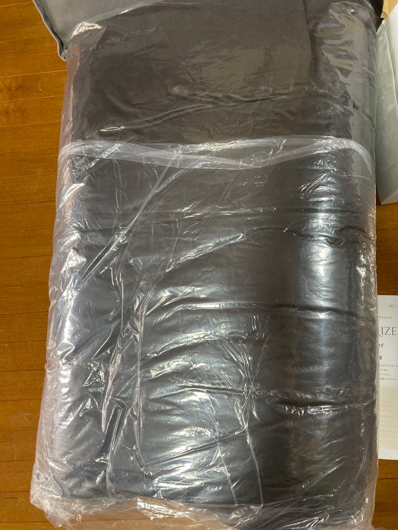 TELLUSGIZER Refine EZT-RF2301 テルスガイザー