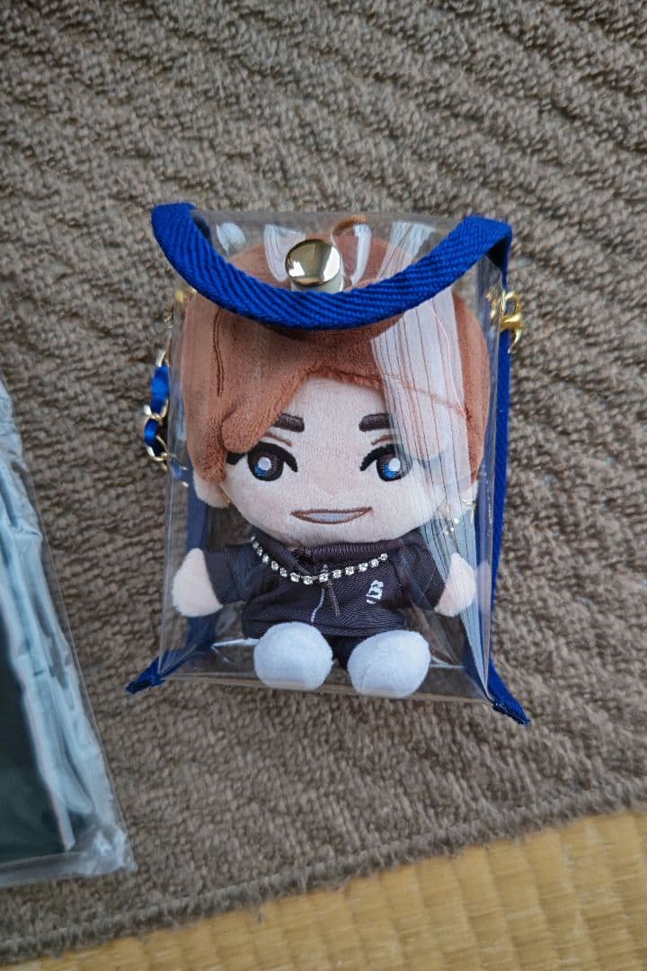 SixTONESアルバム初回盤A(DVD) ぬいぐるみ 田中樹 クリアポーチ付き