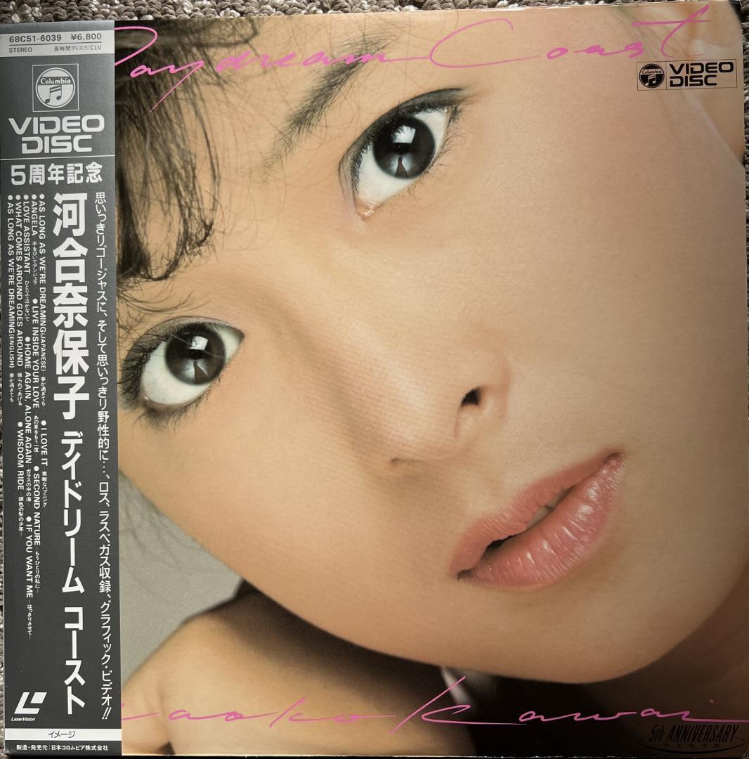 LD 河合奈保子 レーザーディスク １０枚セット