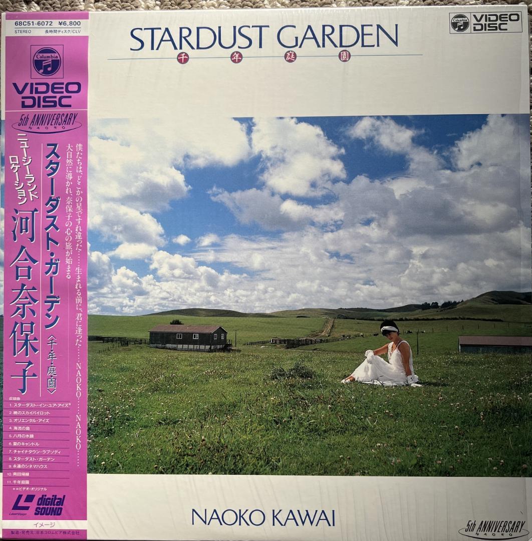 LD 河合奈保子 レーザーディスク １０枚セット