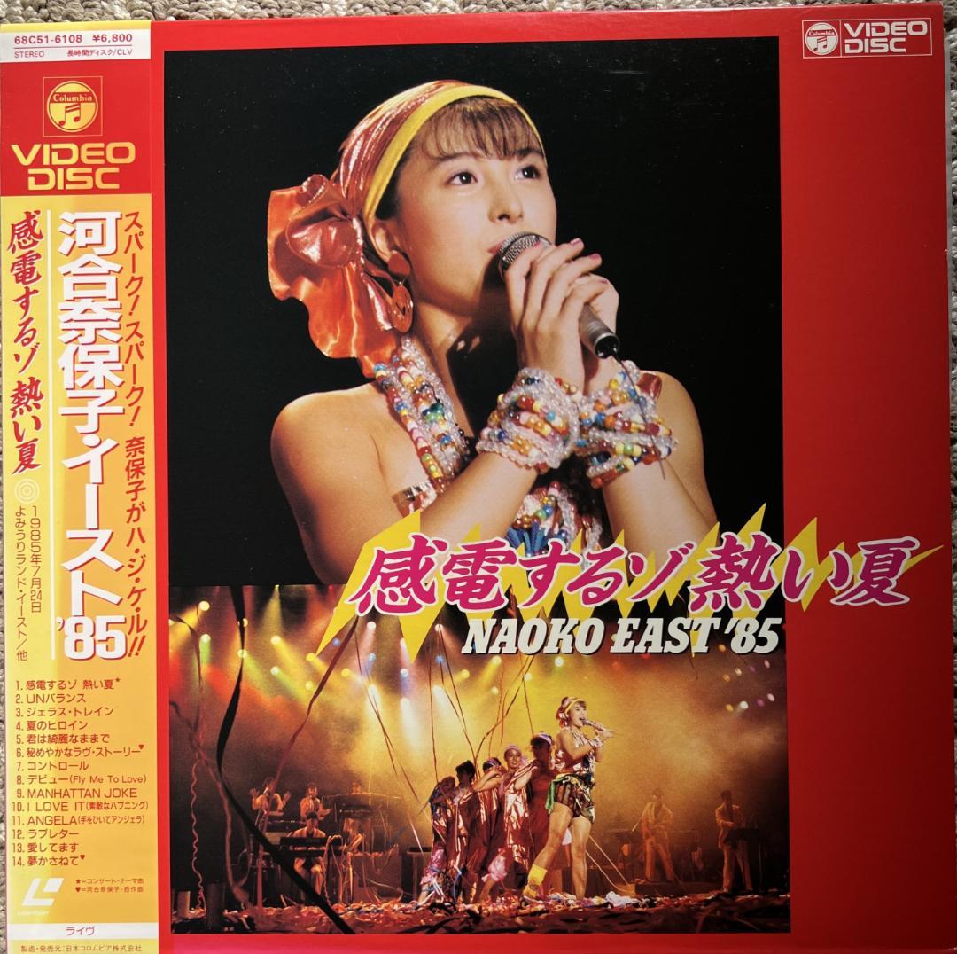 LD 河合奈保子 レーザーディスク １０枚セット