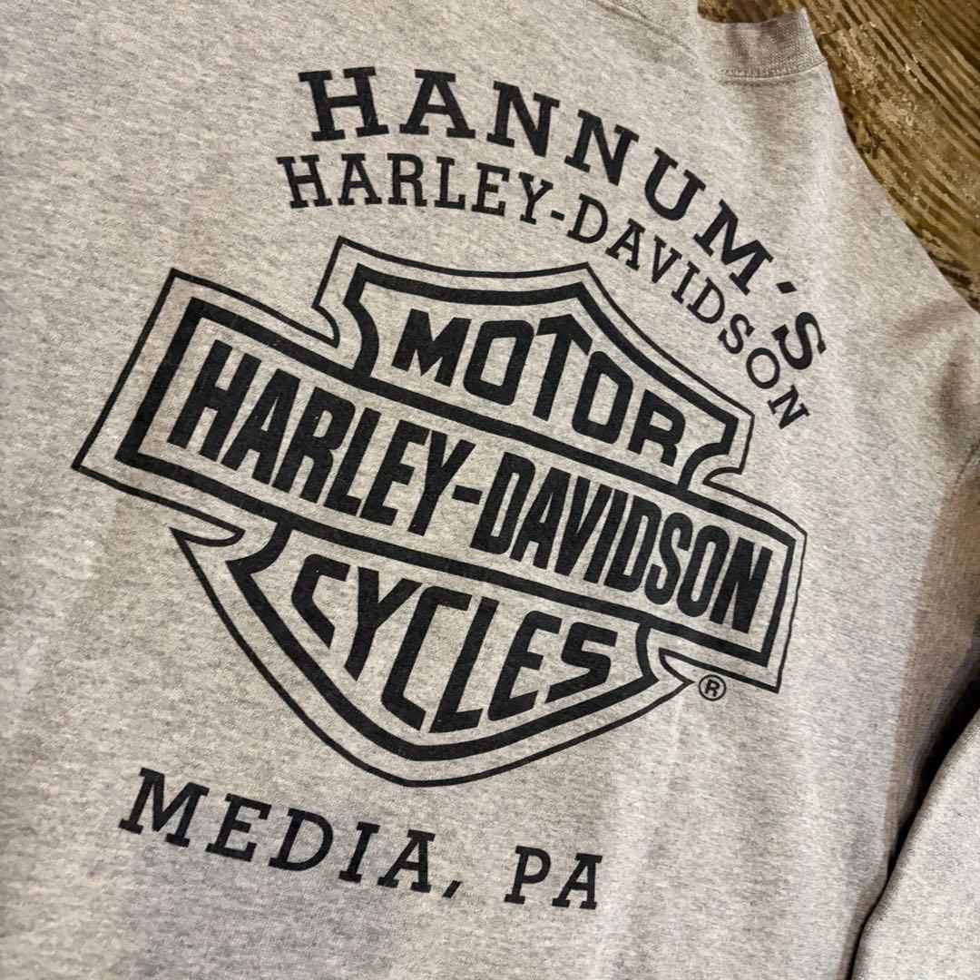 ビンテージ 90s ハーレーダビッドソン ハーレー スウェット l バイカー