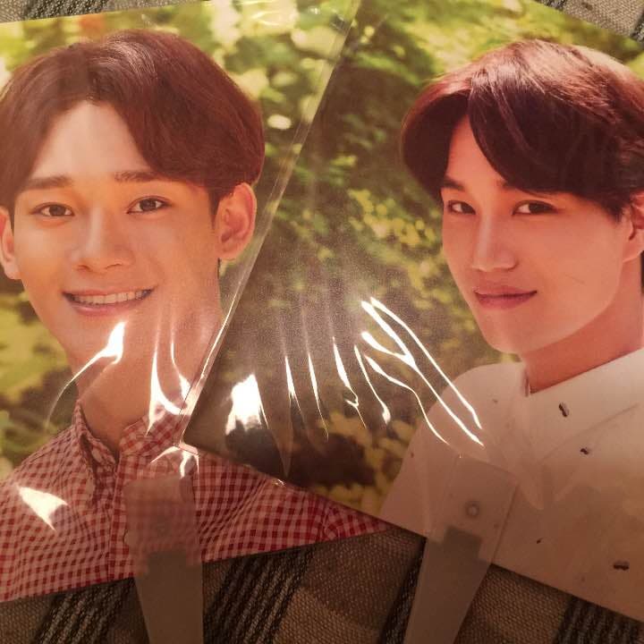 exo ネイリパ ペーパースタンド うちわ