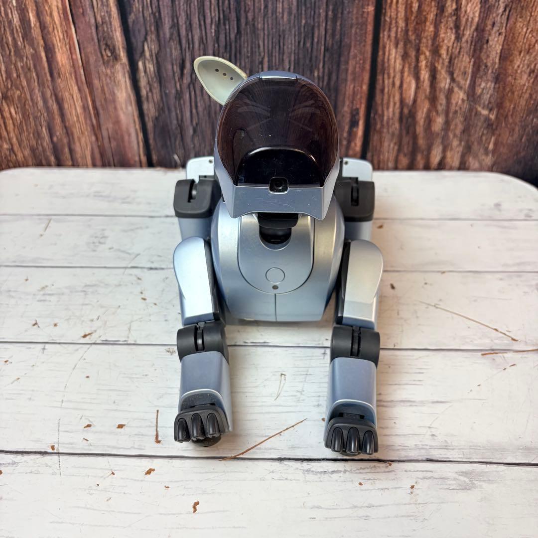 SONY ソニー AIBO アイボ ERA-210P1 シルバー 通電確認済