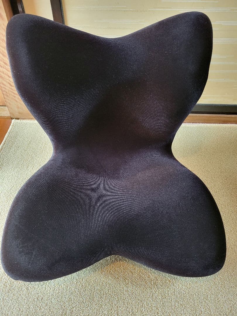 Style Seat Premium DX 黒