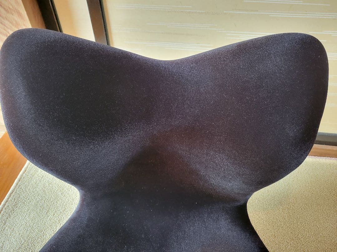 Style Seat Premium DX 黒