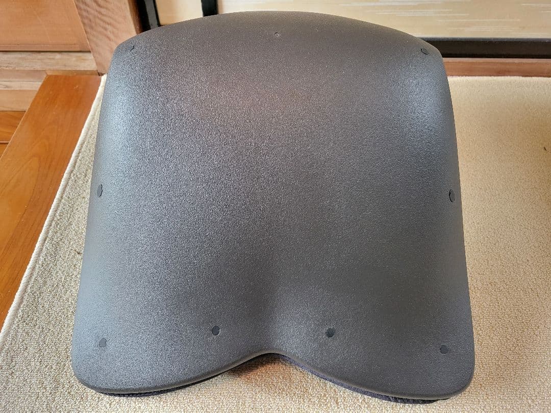 Style Seat Premium DX 黒