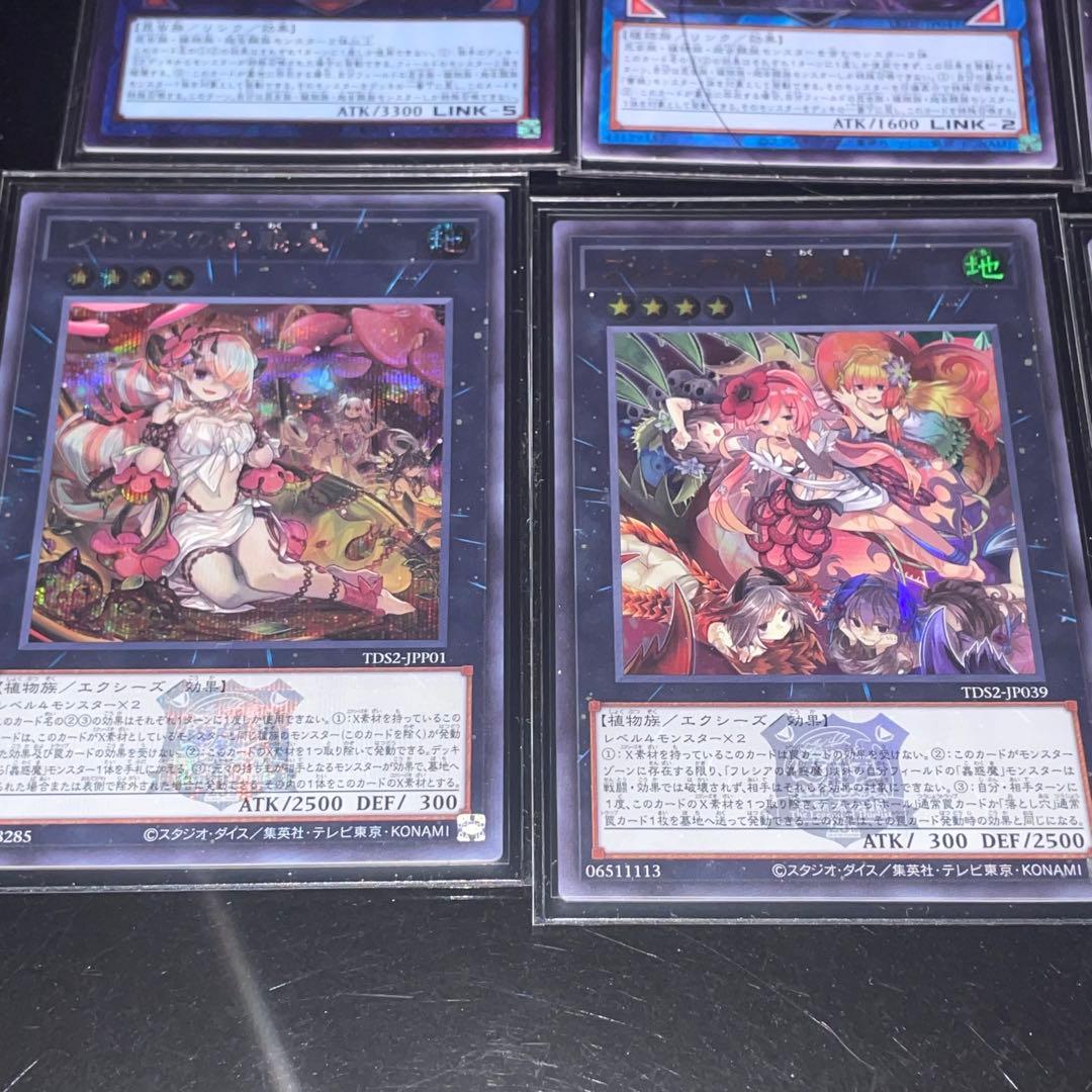 蕾禍蟲惑魔本格構築デッキ売り⭐︎決闘者伝説版⭐︎オマケ有