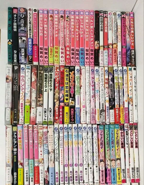 BL本　商業BL　小説　まとめ売り　サイン本　世界一初恋　blコミック