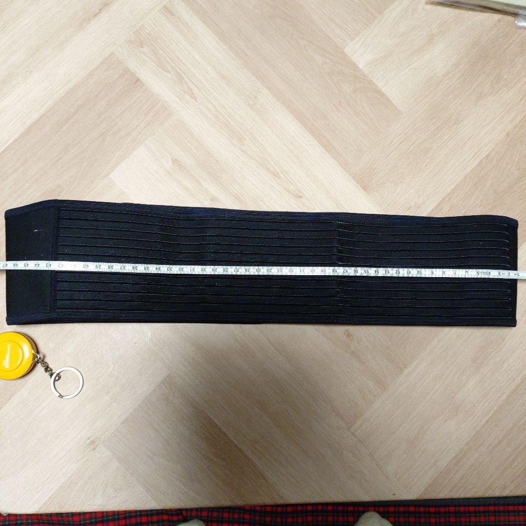 レダの腰痛サポーターL 高純度99.999％ゲルマニウム粒12個