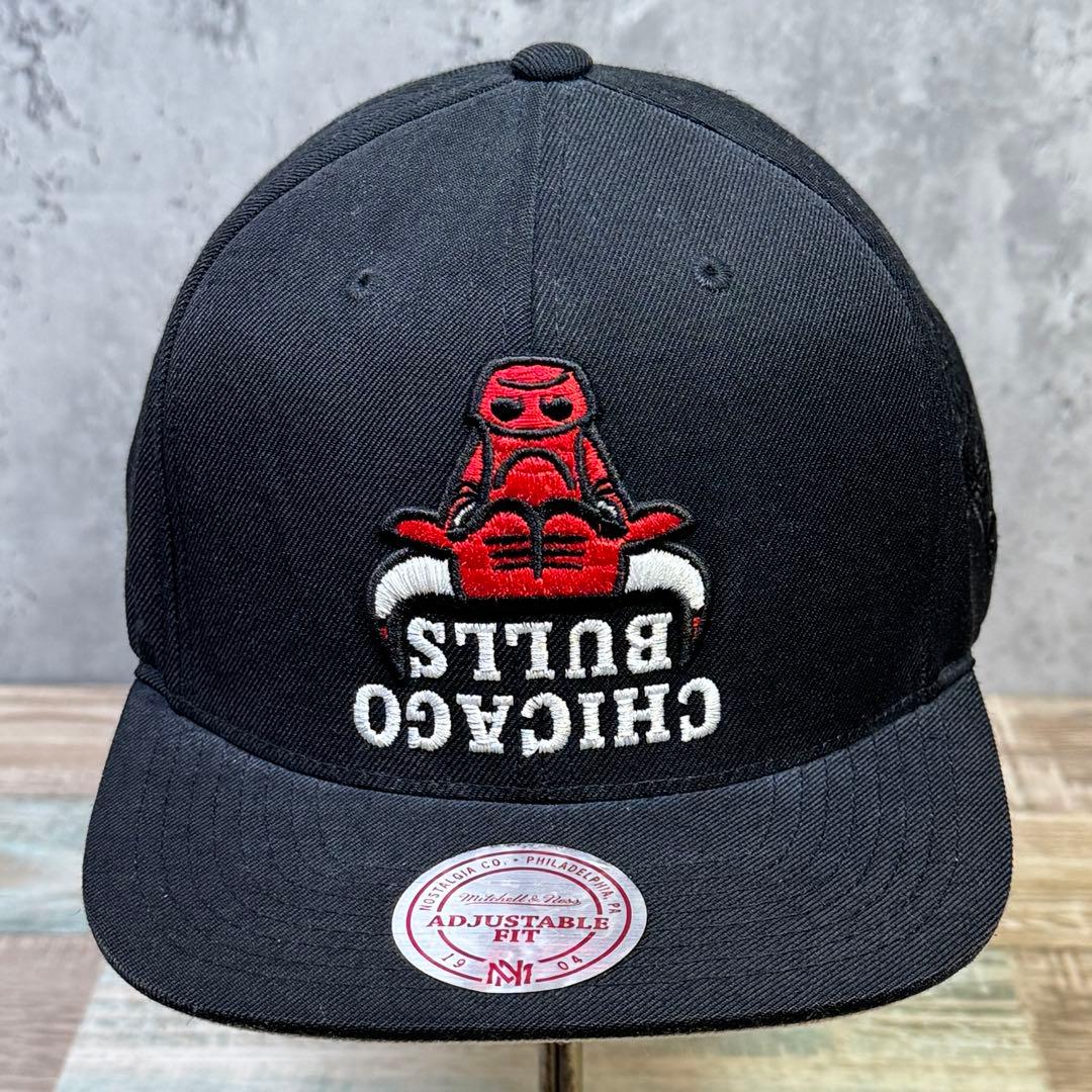 00's〜10's 希少スナップバッグキャップ 11個セット