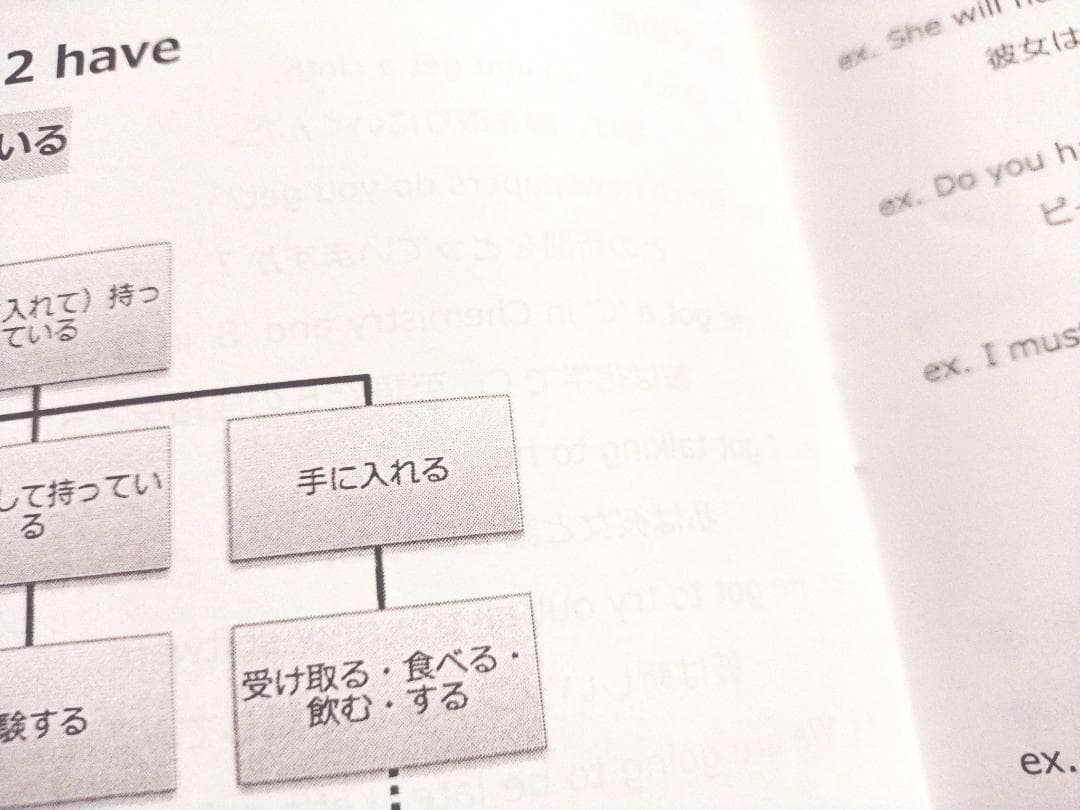 鉄緑会による高3英語動詞の整理、前置詞の整理　冊子フルセット　駿台　河合塾　東進