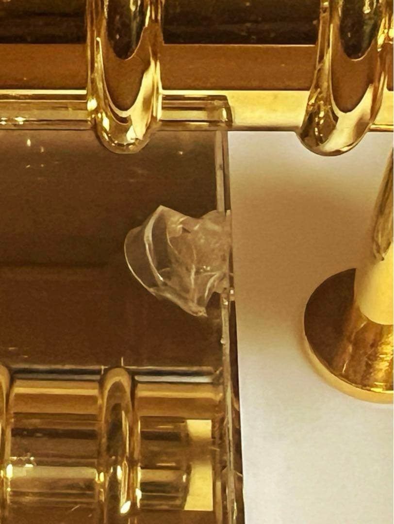 早い者勝ち‼️ラジャス⭐️イオンチャンネル❣️超特価⭐️⭐️⭐️