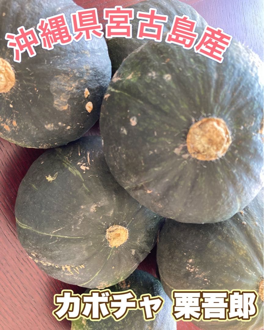 【専用 ハッピー様】 カボチャ　かぼちゃ 沖縄県 宮古島産