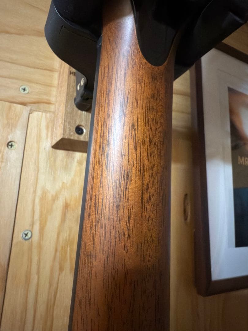 ギター Taylor 914ce