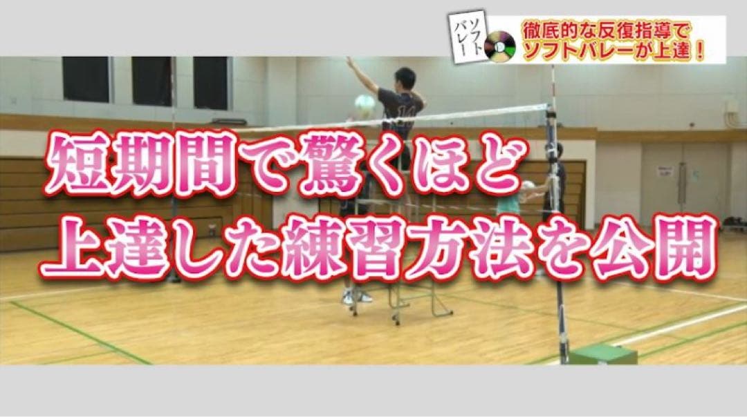 ソフトバレーボール上達革命 Disc 1 .2